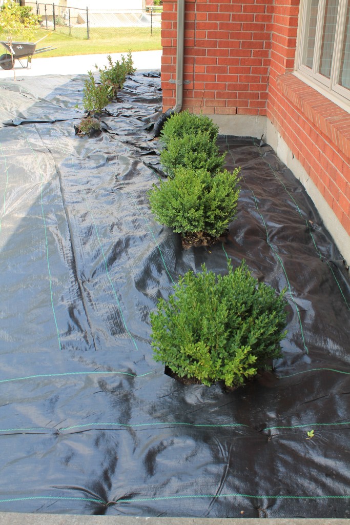 Anti-weed fabric application